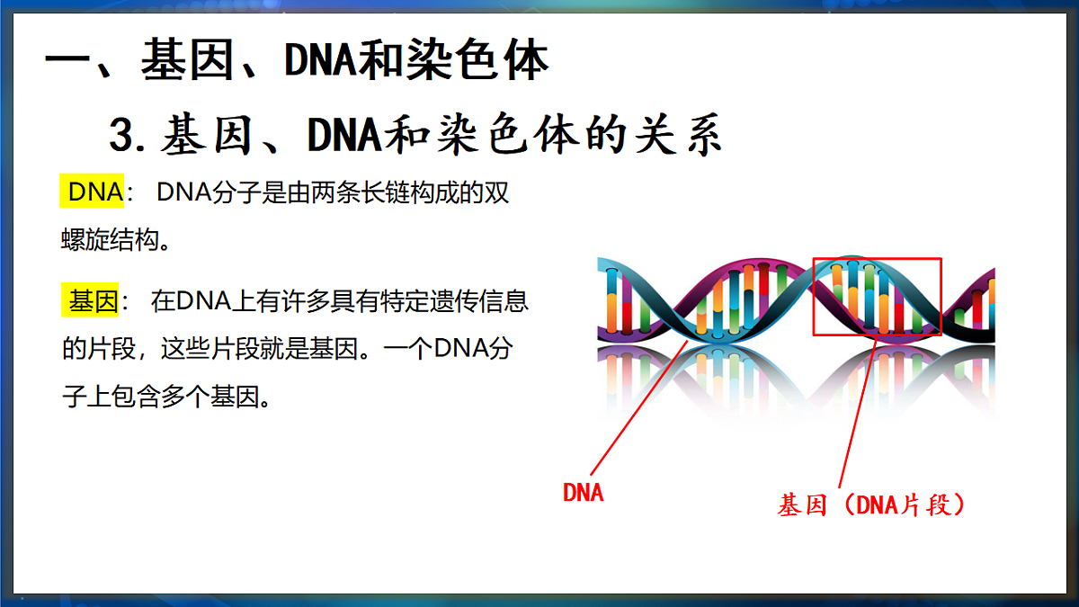 17648728第5页