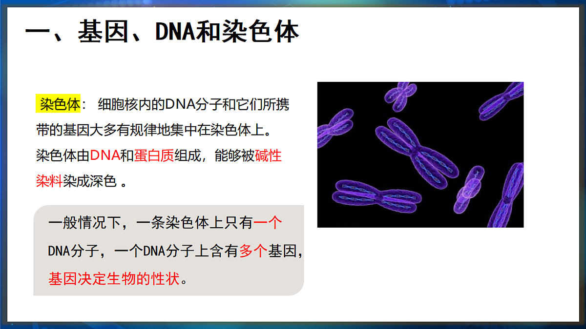 17648728第6页