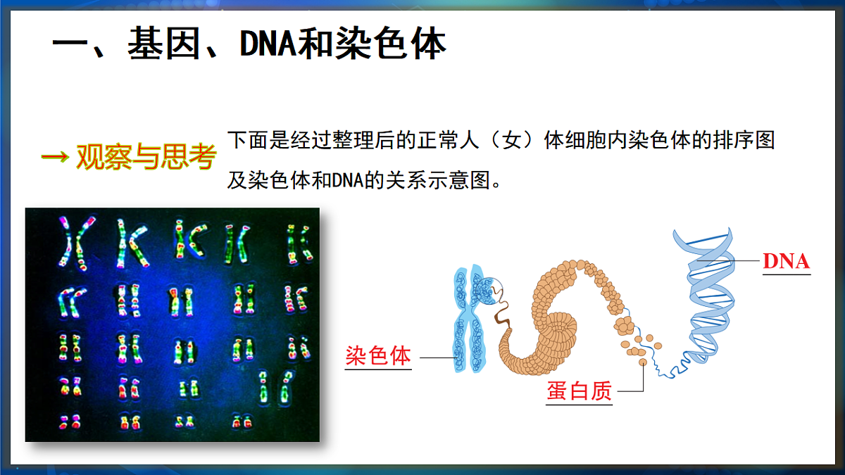 17648728第7页
