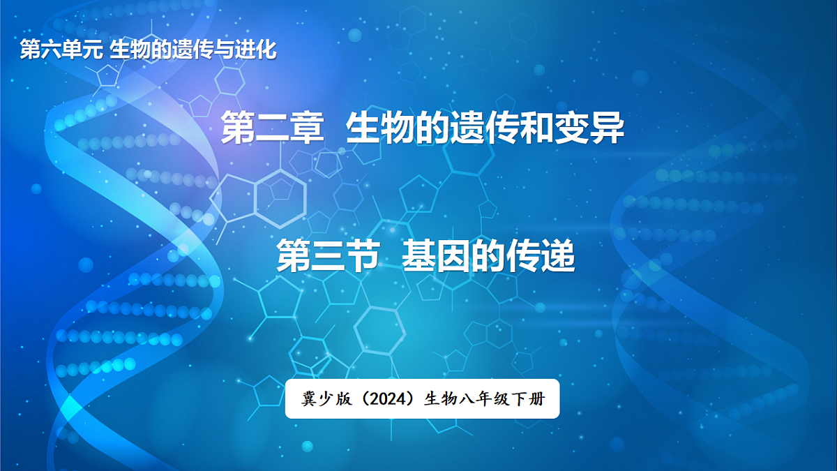 17648729第1页
