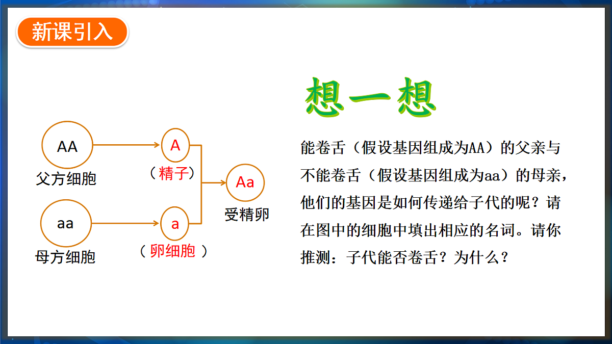 17648729第2页
