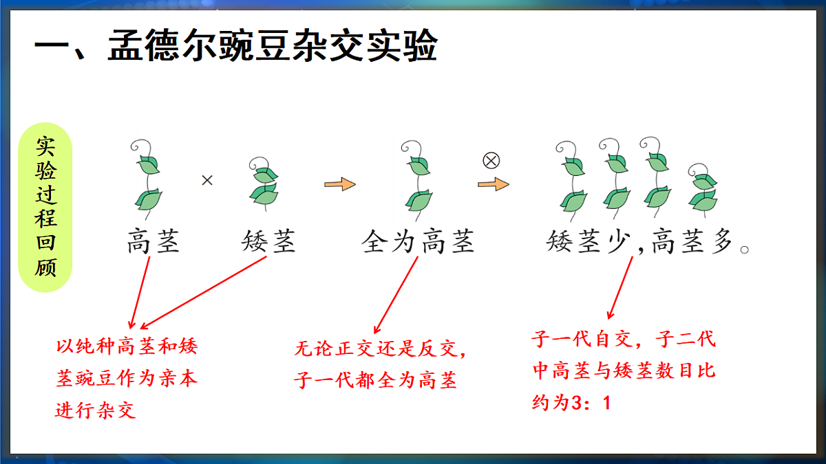 17648729第5页