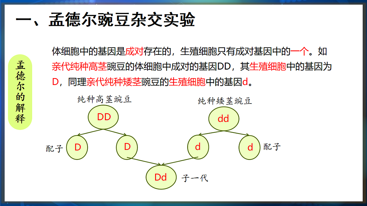 17648729第6页