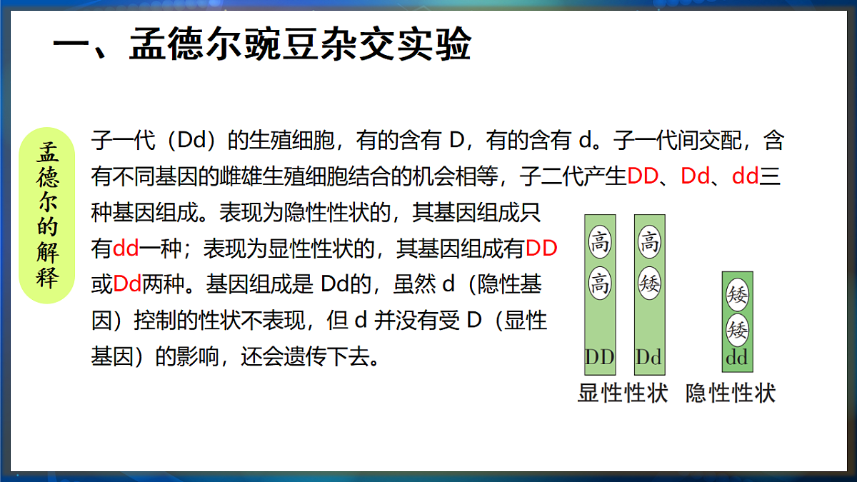 17648729第7页