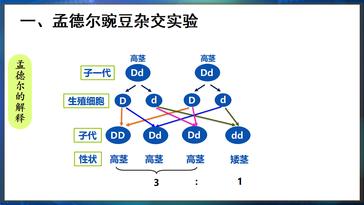 17648729第8页