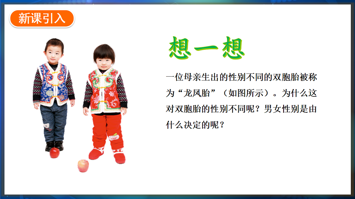 17648730第2页
