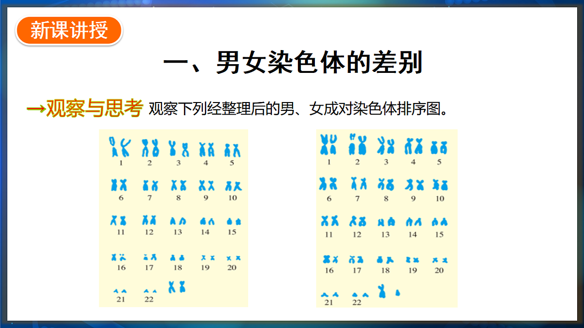 17648730第3页