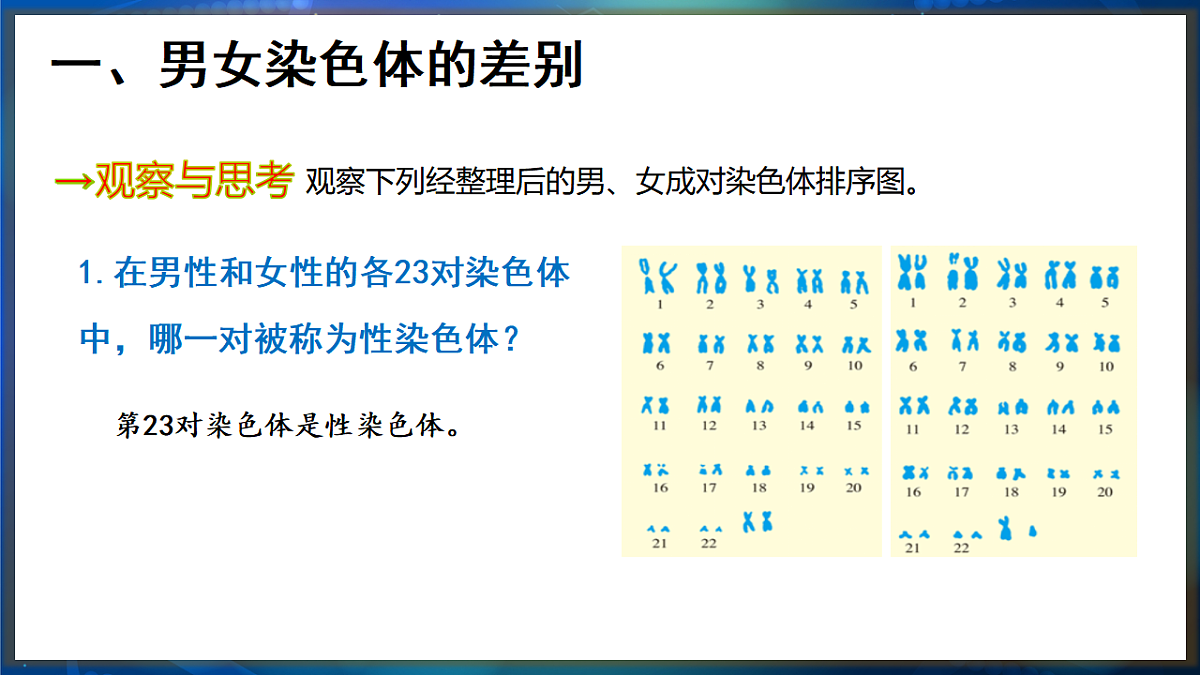 17648730第4页
