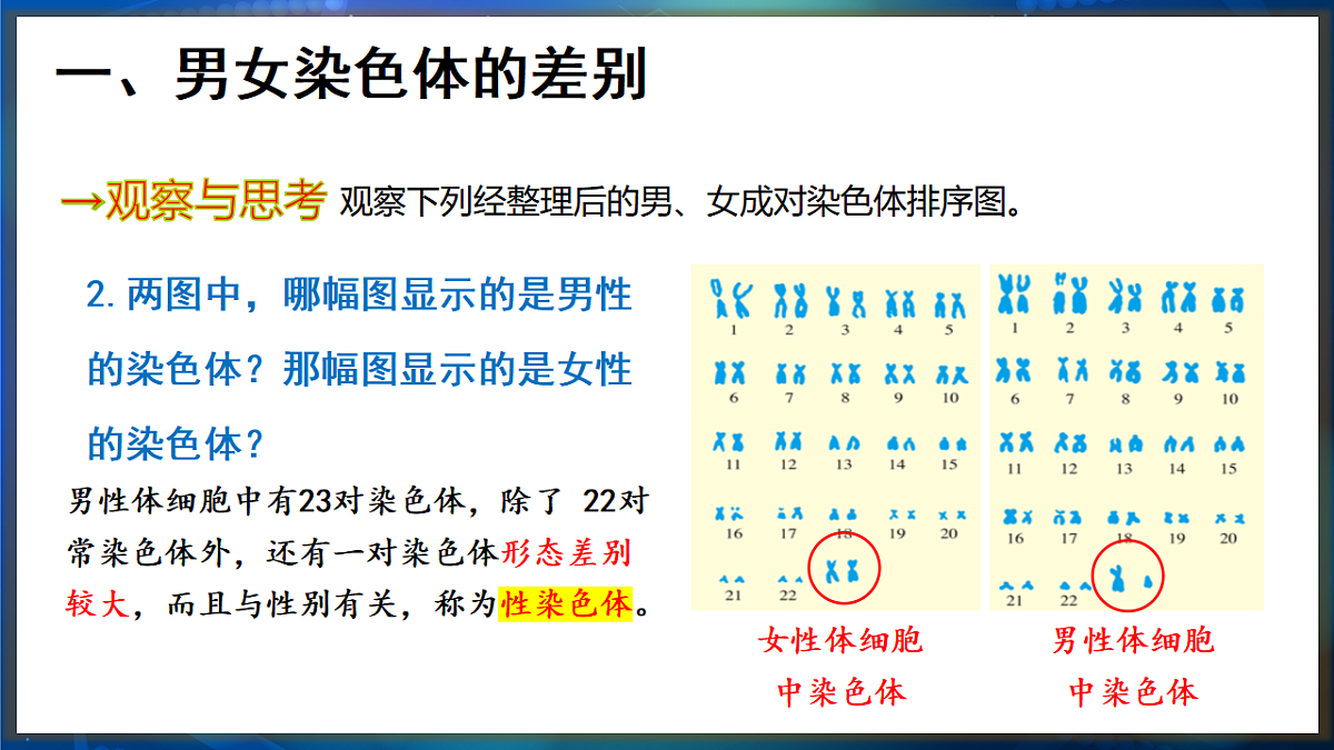 17648730第5页