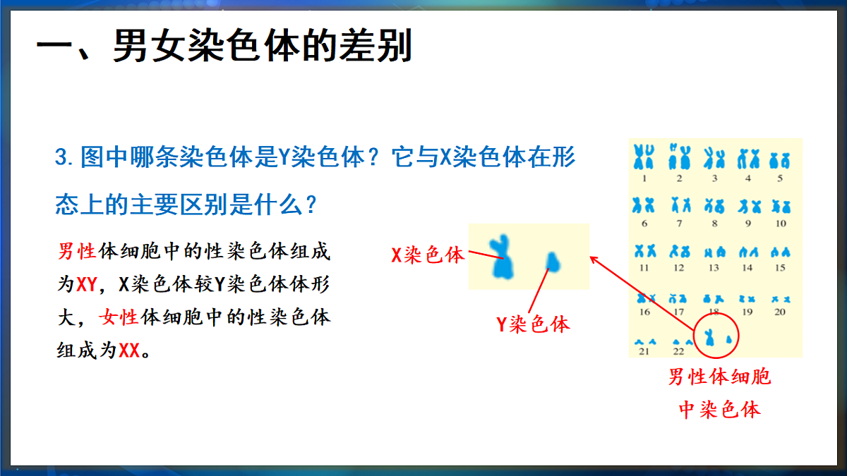 17648730第6页