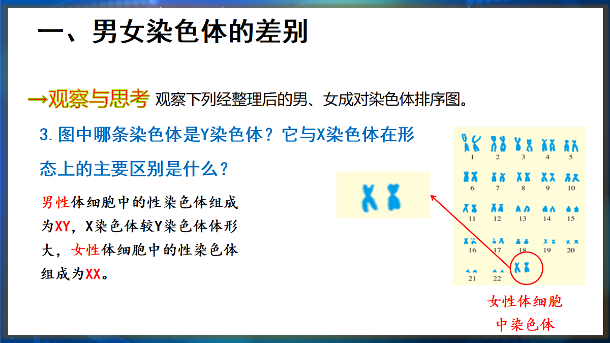17648730第7页
