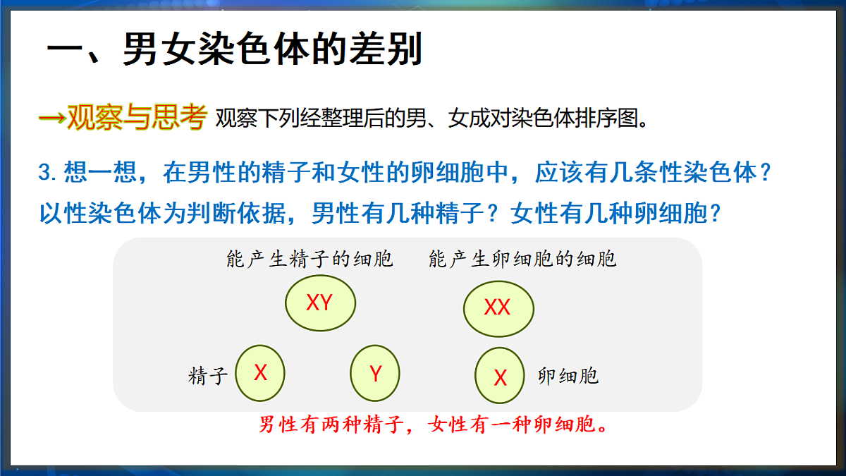 17648730第8页