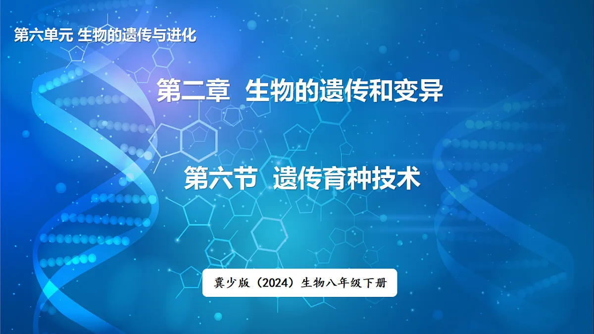 17648732第1页