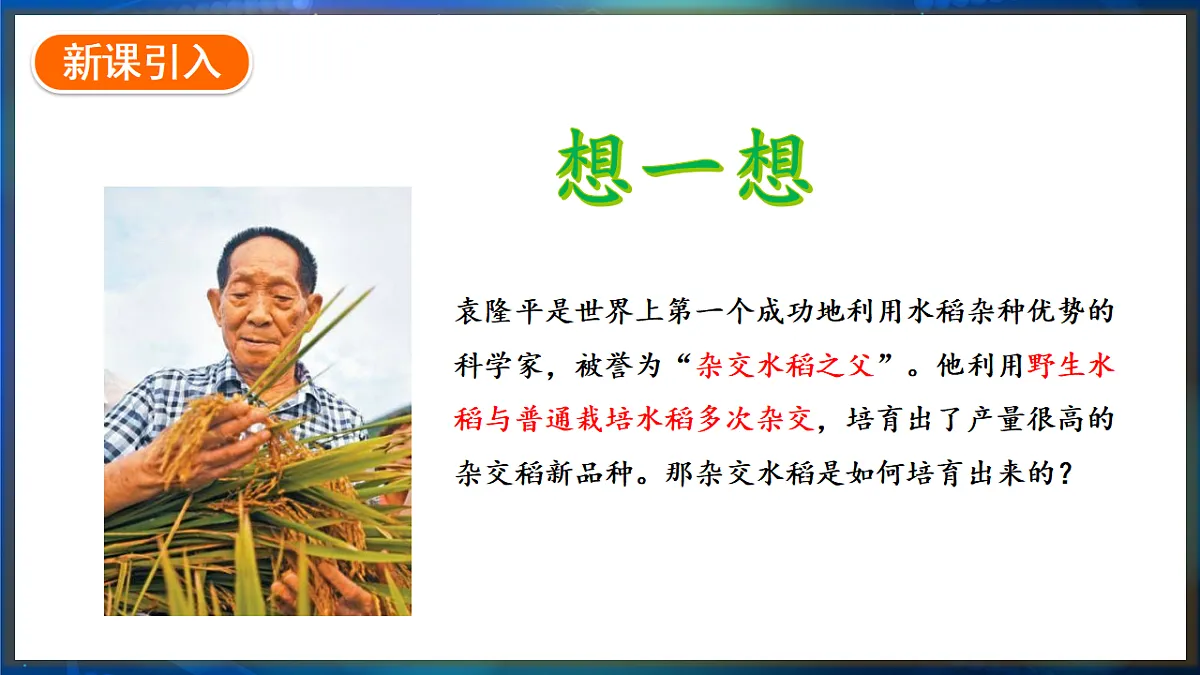 17648732第2页