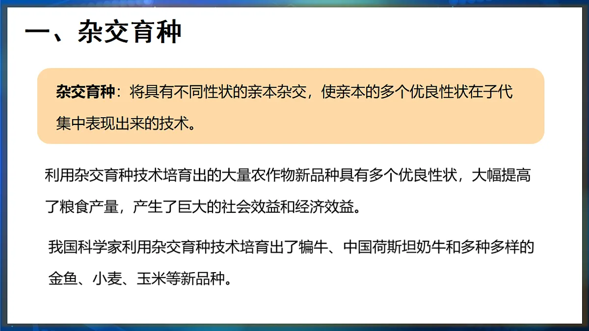17648732第4页