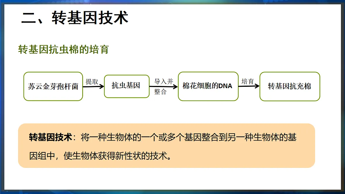 17648732第5页