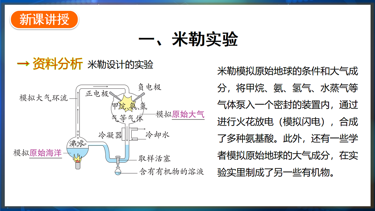 17648733第3页