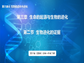冀少版（2024）生物八年级下册 6.3.2 生物进化的证据（课件）