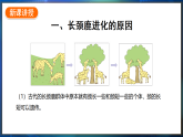 冀少版（2024）生物八年级下册 6.3.3 生物进化的原因（课件）