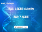 冀少版（2024）生物八年级下册 6.3.4 人类的起源（课件）
