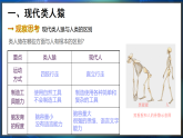 冀少版（2024）生物八年级下册 6.3.4 人类的起源（课件）