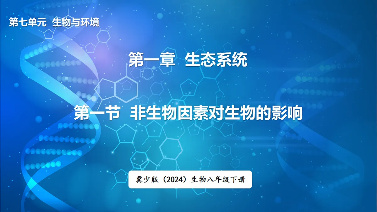17648737第1页