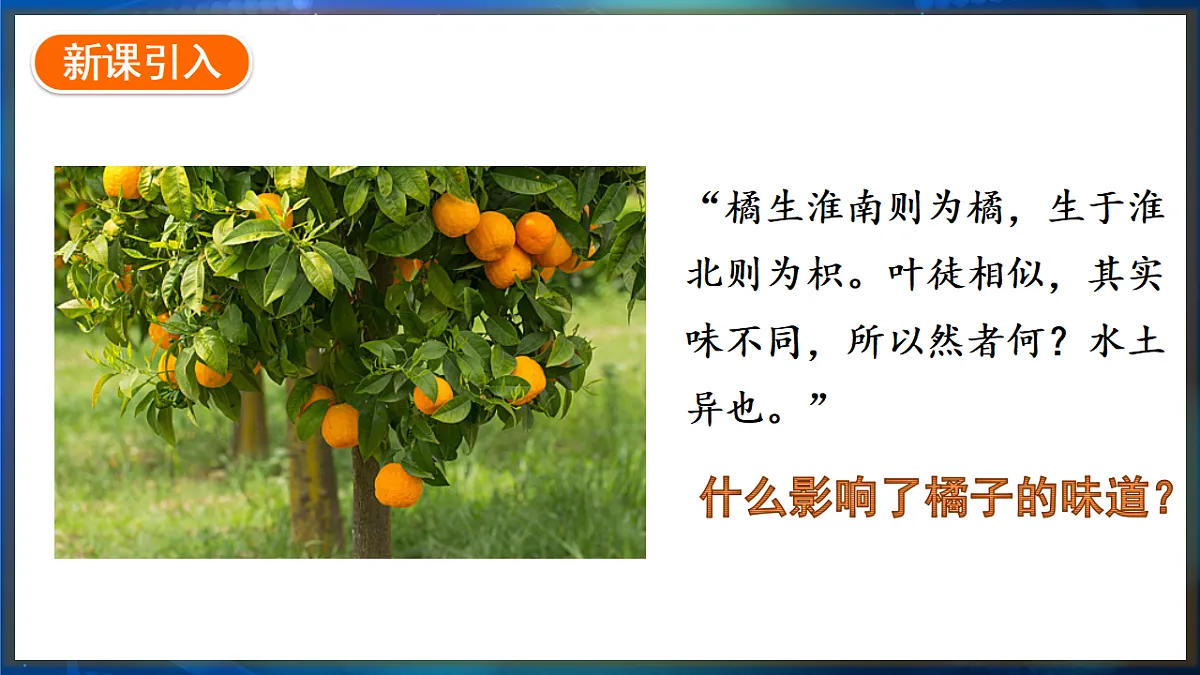 17648737第2页