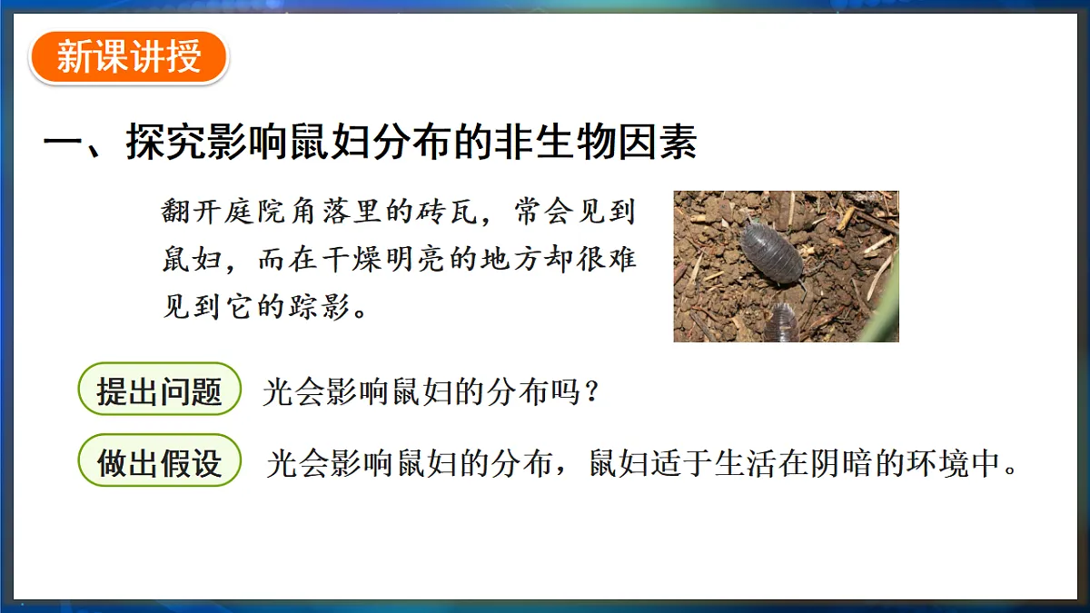 17648737第3页
