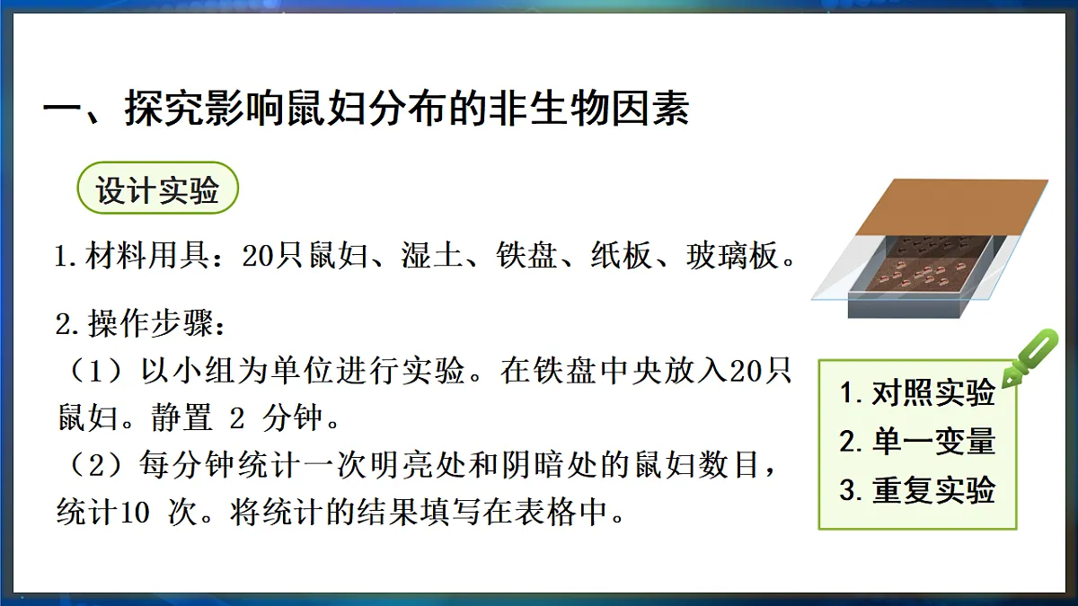 17648737第4页