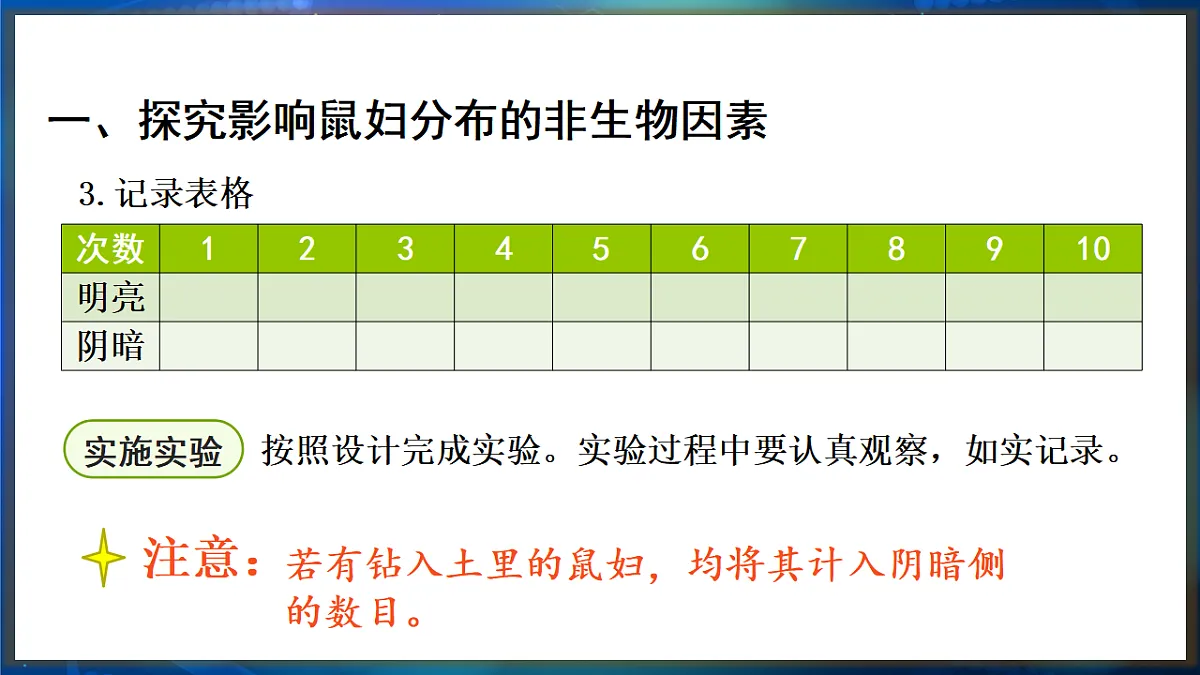 17648737第5页
