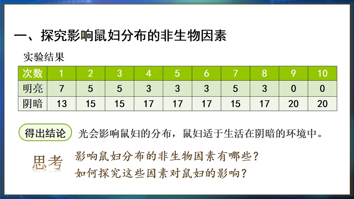 17648737第6页