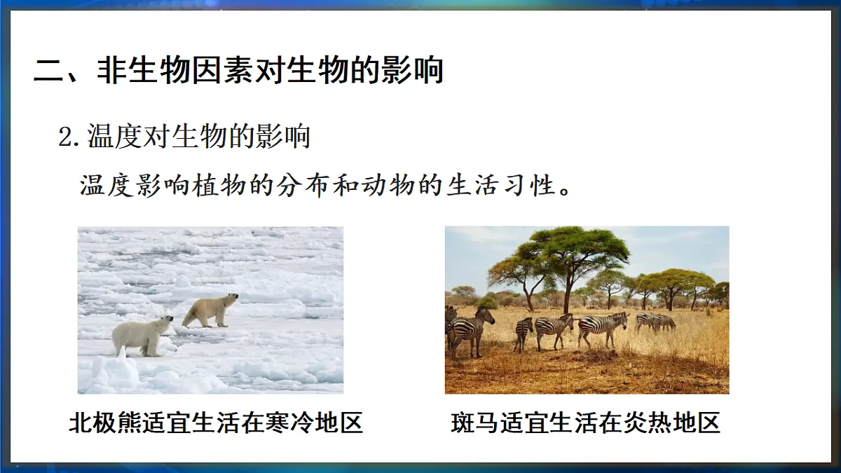 17648737第8页