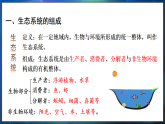 冀少版（2024）生物八年级下册 7.1.3 生态系统的组成和类型（课件）