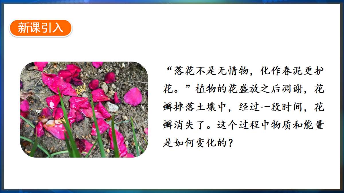 17648740第2页