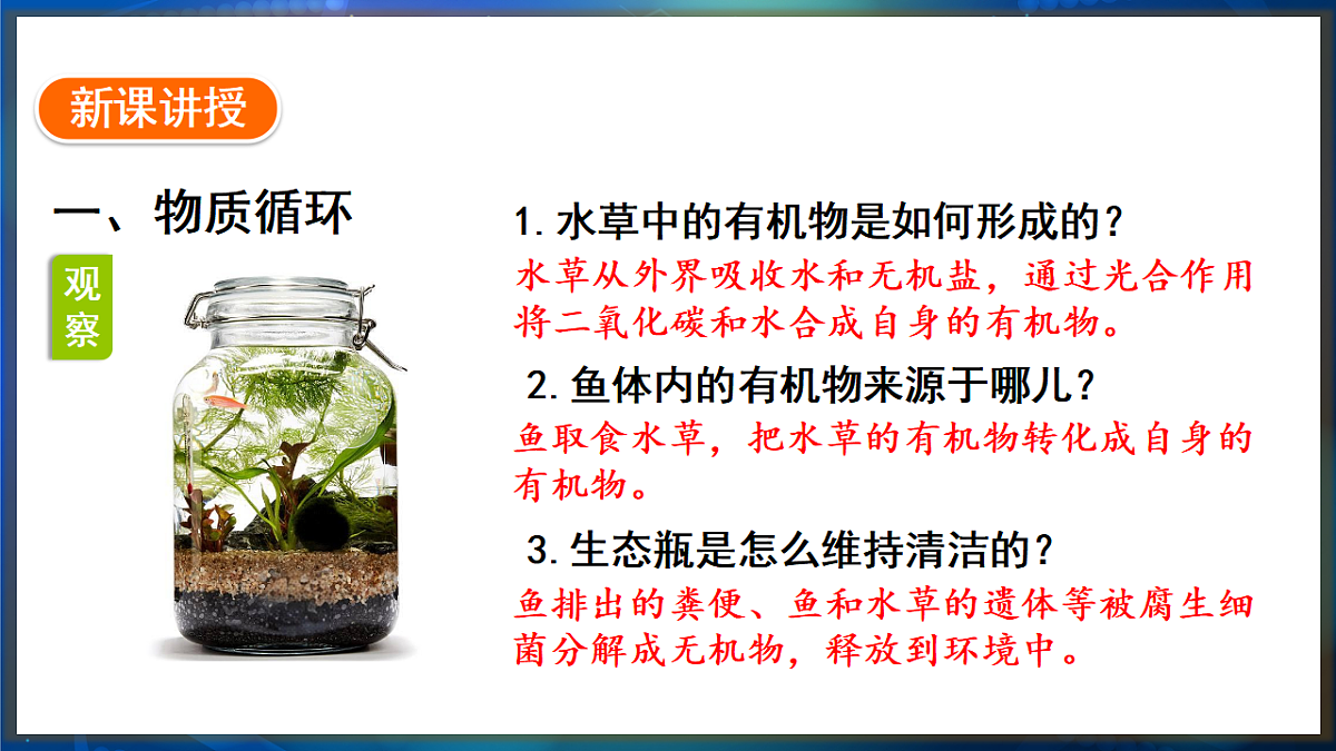 17648740第3页