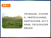 冀少版（2024）生物八年级下册 7.2.1  生态系统的自我调节（课件）