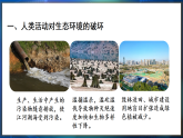 冀少版（2024）生物八年级下册 7.2.2 保障生态安全（课件）