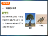 冀少版（2024）生物八年级下册 7.1.2 生物对环境的适应和影响（课件）