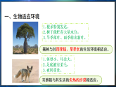 冀少版（2024）生物八年级下册 7.1.2 生物对环境的适应和影响（课件）