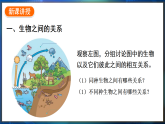 冀少版（2024）生物八年级下册 7.1.2 生物因素对生物的影响（课件）