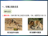 冀少版（2024）生物八年级下册 7.1.2 生物因素对生物的影响（课件）