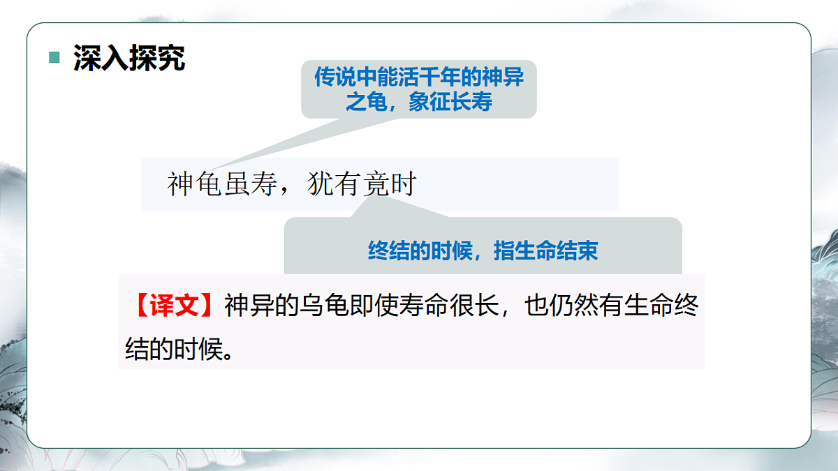 17649010第7页
