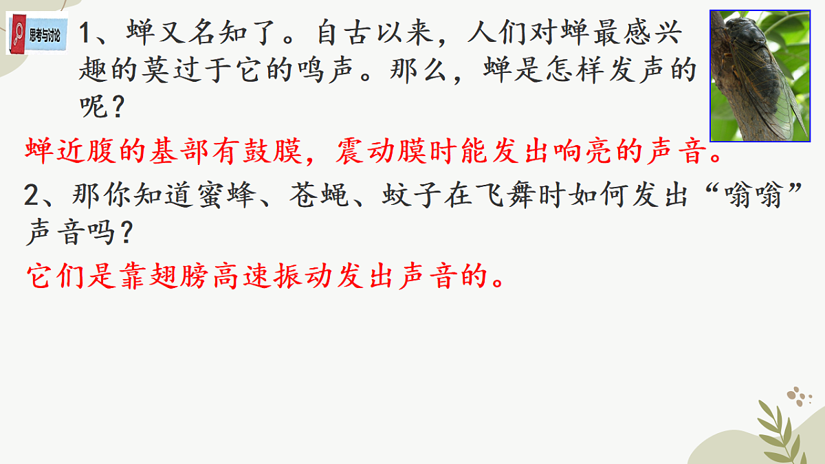 17649343第5页