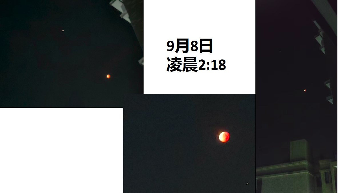 17649477第2页