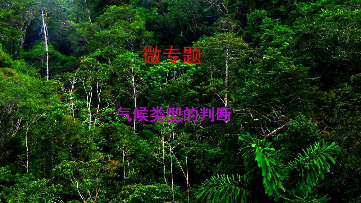 17649479第1页