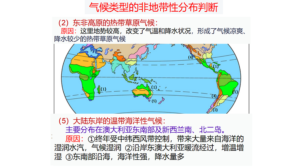 17649479第5页
