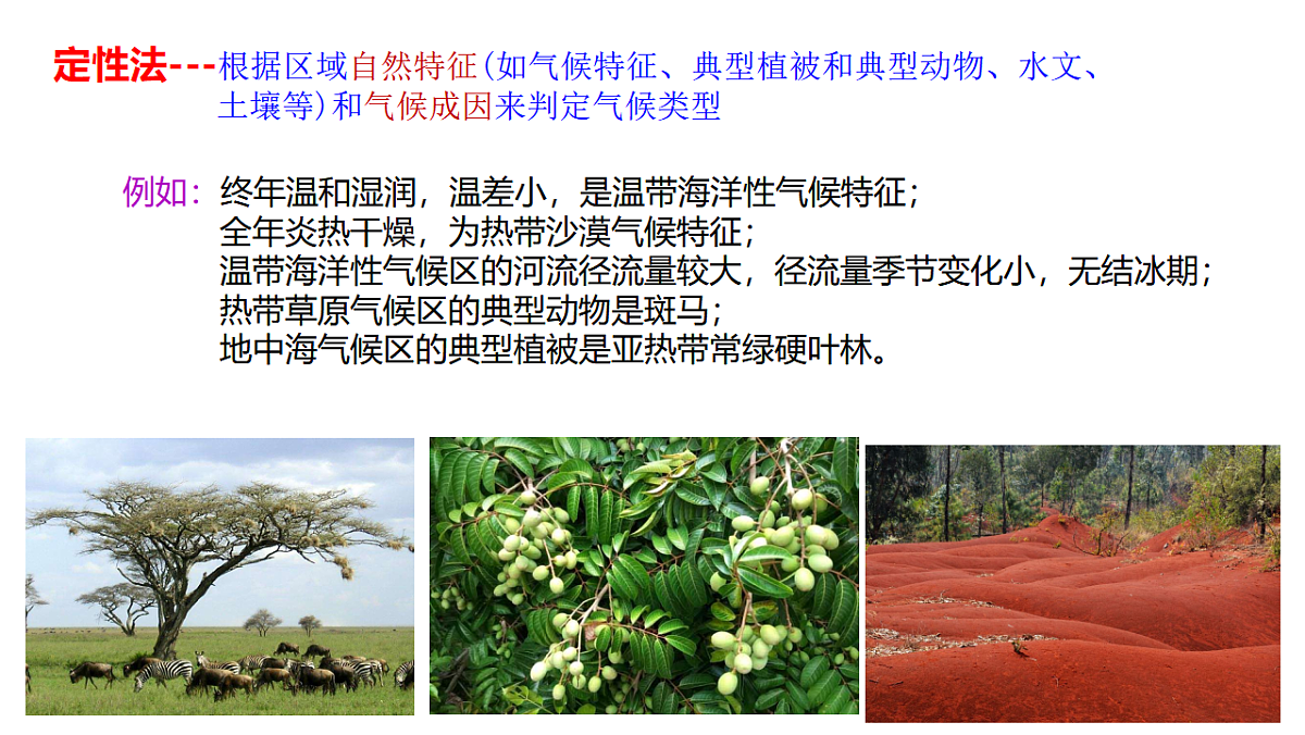 17649479第7页