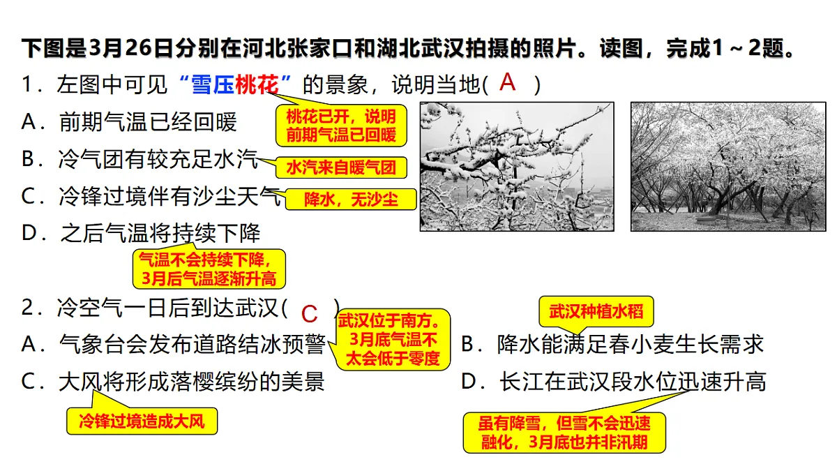 17649480第4页