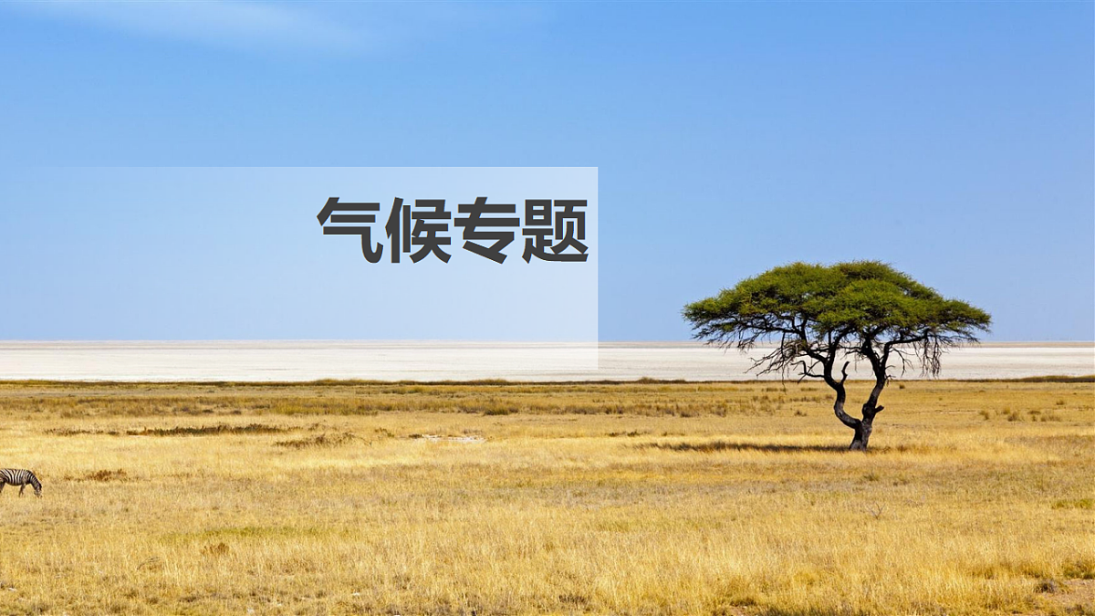 17649485第1页