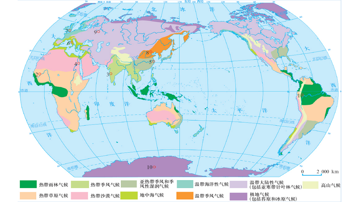 17649485第3页